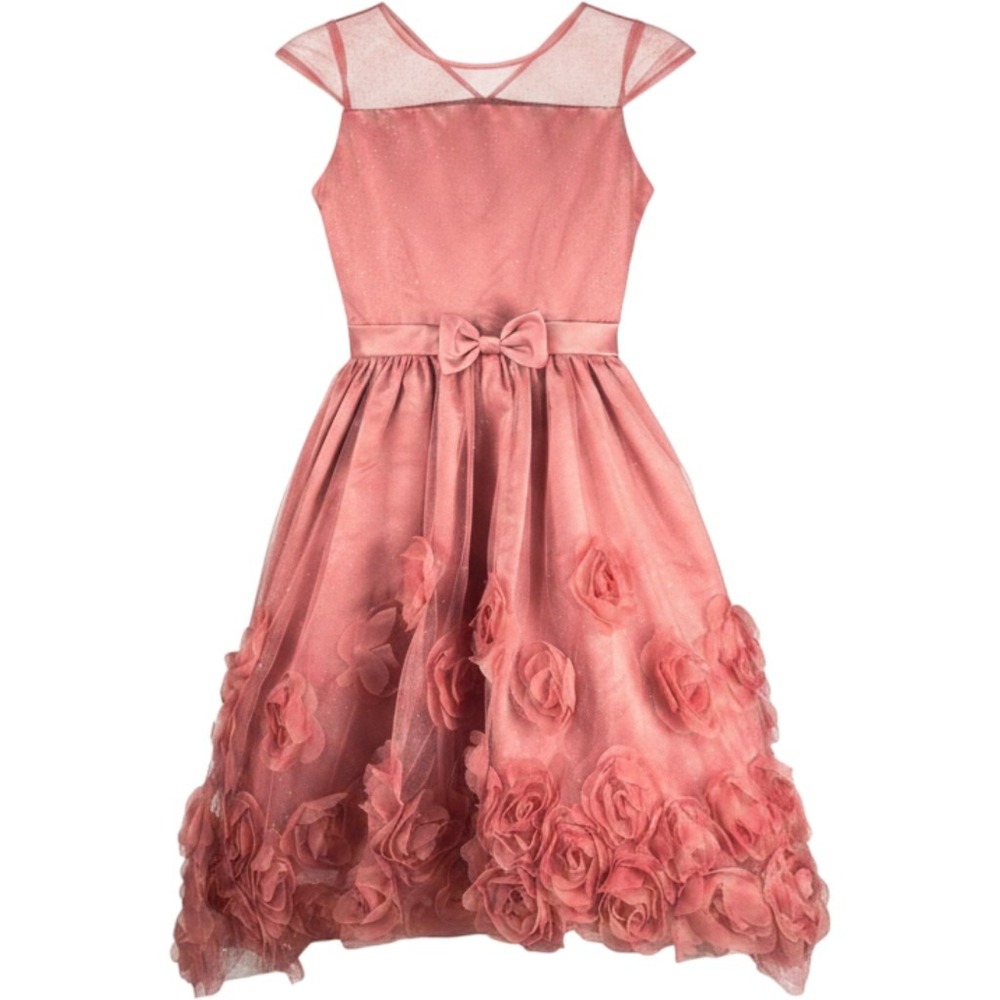 Biscotti Special Occasion Dress Girls 10 Pink 3D Rosette Glitter {Princess}